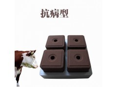 锄禾日当午 叶菜种植与畜牧渔业饲料的农业协同发展