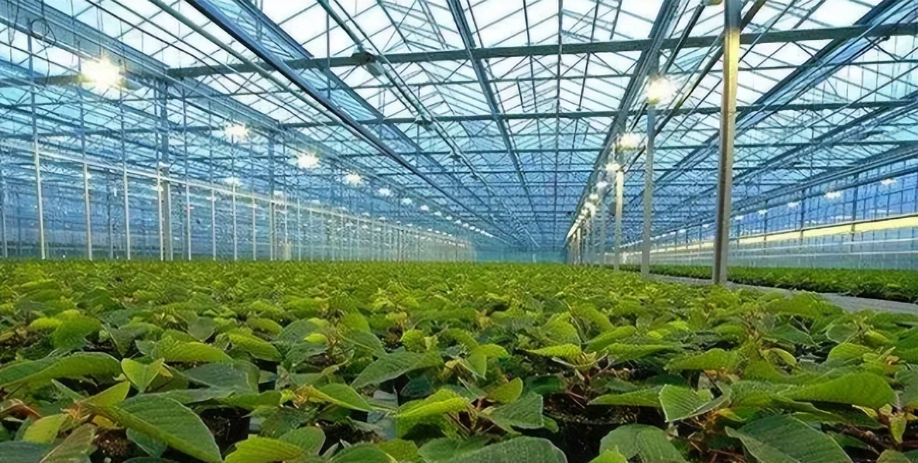 智慧农业八大应用场景之畜牧渔业饲料管理