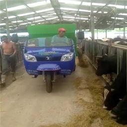 高效畜牧养殖利器 撒料车与TMR搅拌车如何显著降低饲料成本